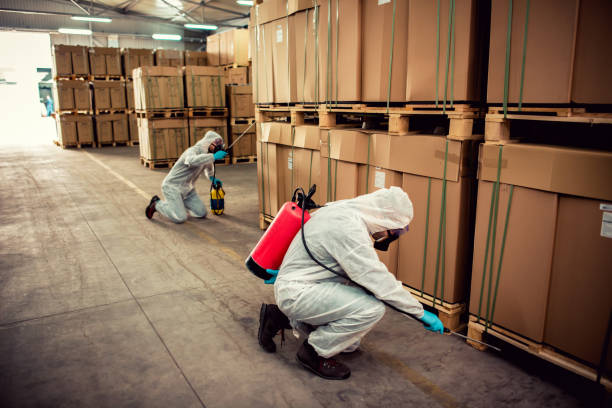 Best Local Pest Control Services  in Lake Ozark, MO