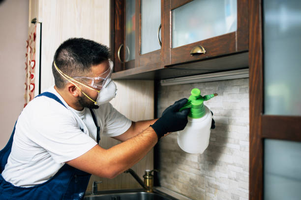 Best Mosquito Control Services  in Lake Ozark, MO