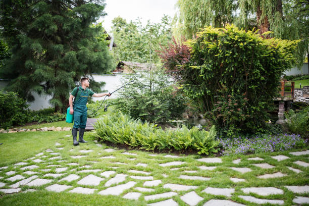 Best Wasp Removal Services  in Lake Ozark, MO