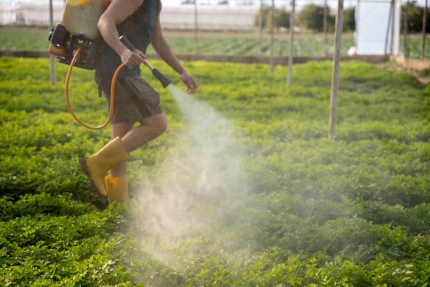 Pest Control Cost in Lake Ozark, MO
